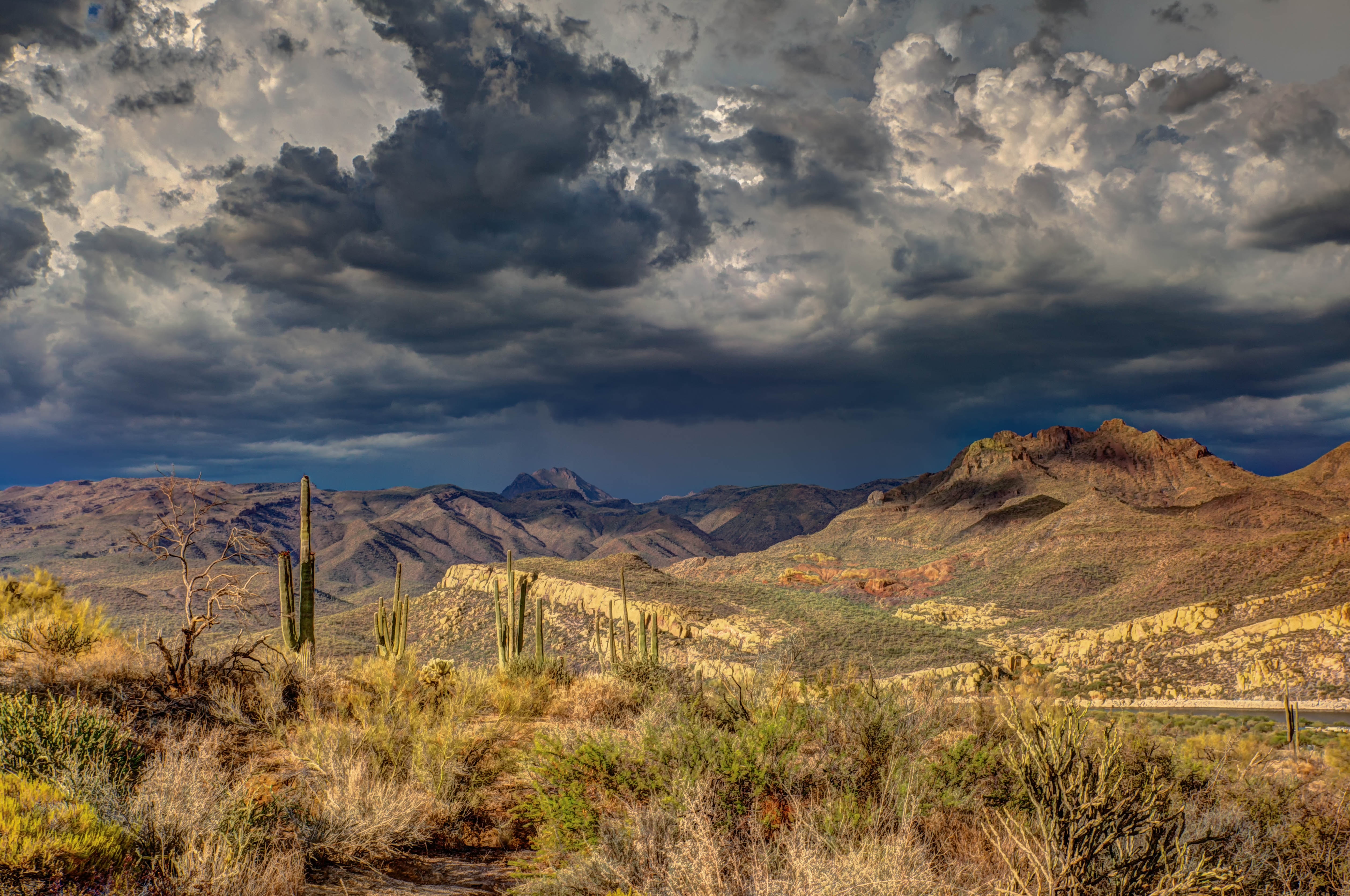 Picture of the Sonoran Desert