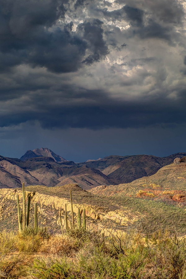 Cactus in the Arizona Desert right before a monsoon