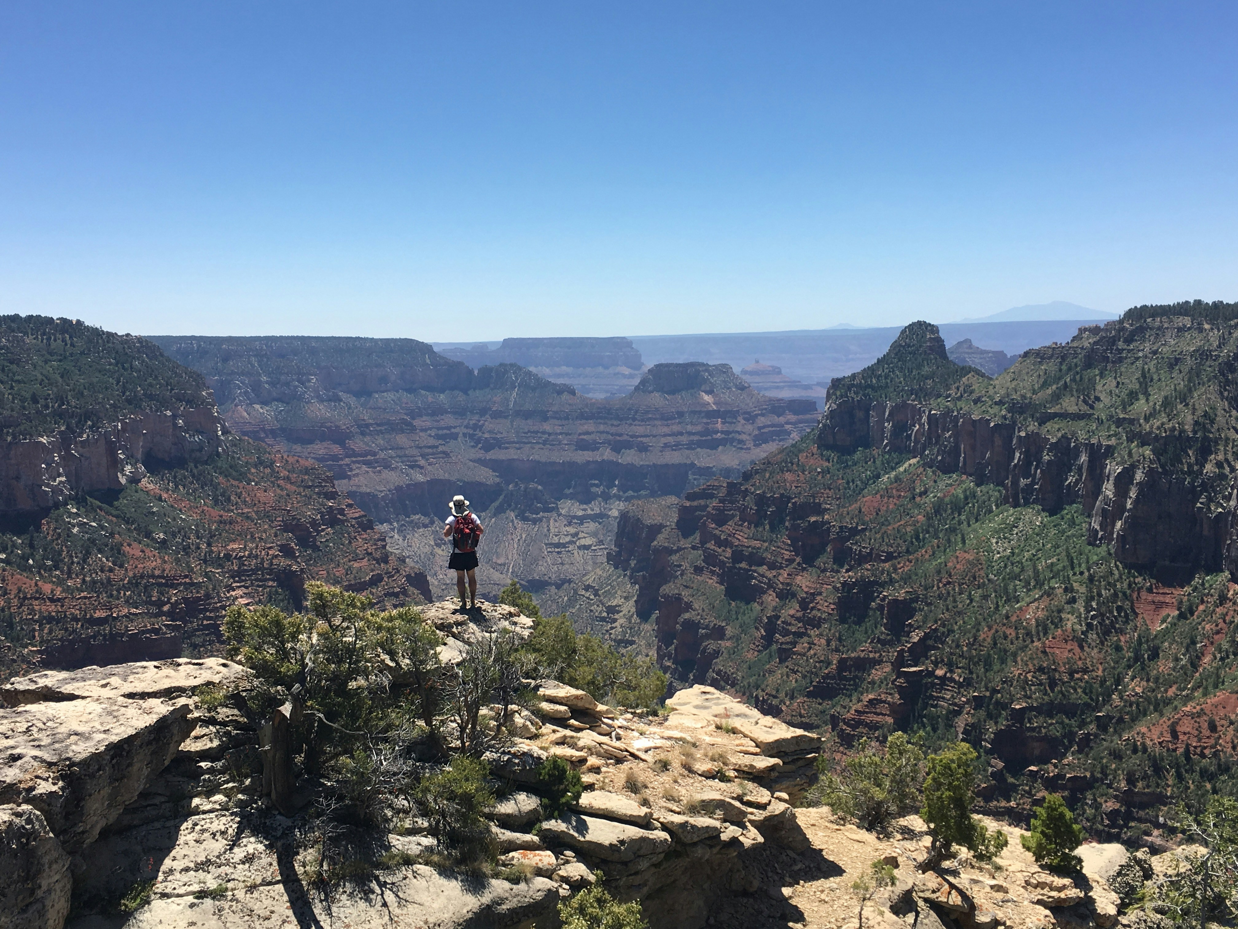 Grand Canyon hiker