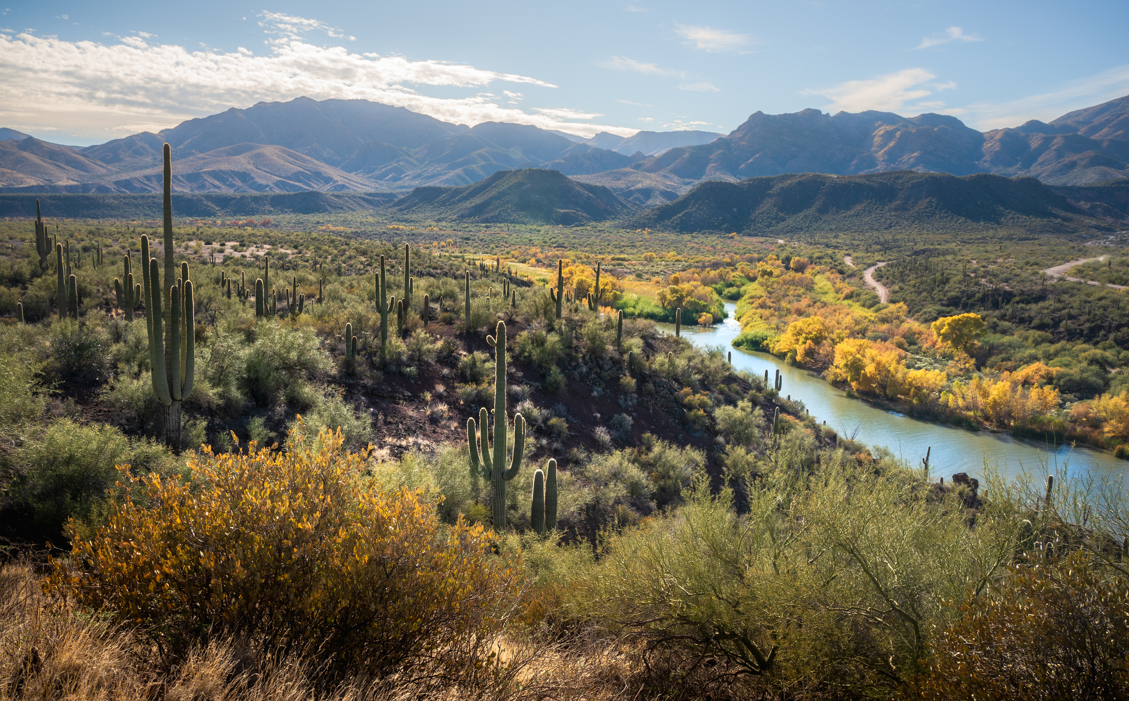 Arizona Desert