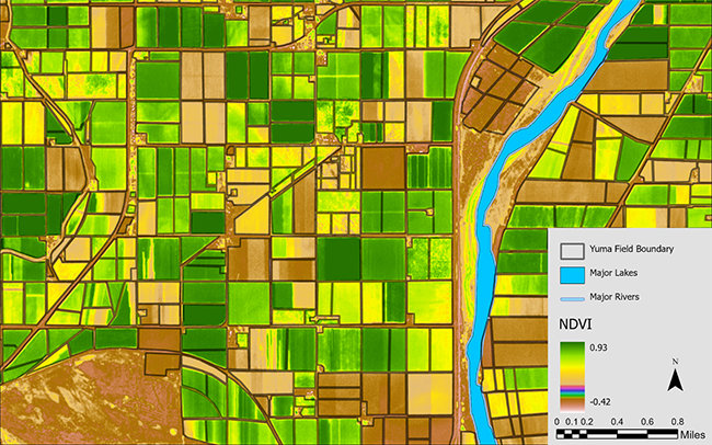 A colorful image of crop distribution in an agricultural area