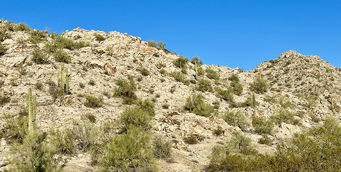 A landscape scene in La Paz County, Arizona with mountains and saguaros.