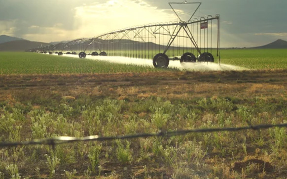 irrigating farmlands