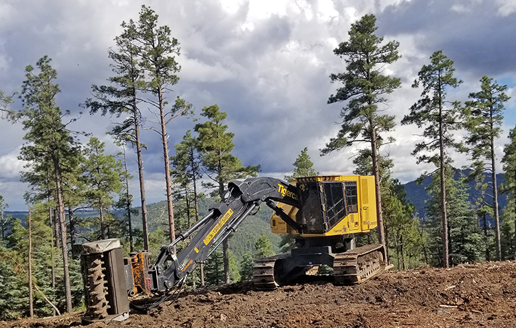 Heavy equipment stands in a cleared area of forest with a thinned stand in the background.