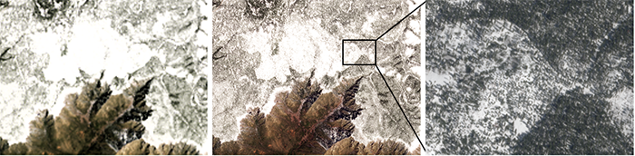 A three image comparison showing snowcover on a forested landscape at increasingly high resolution from left to right.