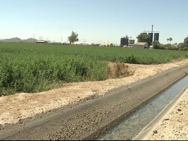 Arizona agriculture water usage