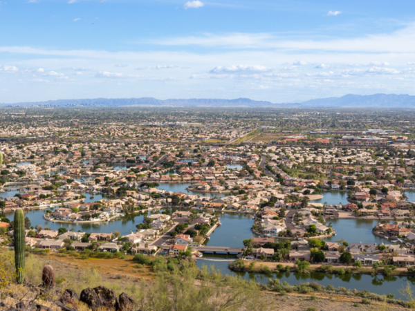 Large suburban development with saguaro cactus in foreground.