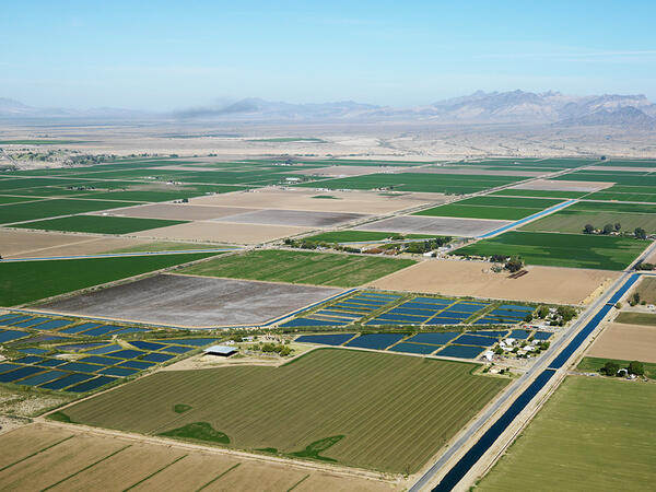 A checkerboard of agricultural fields