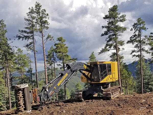 A piece of heavy equipment stands on the edge of a forested area.