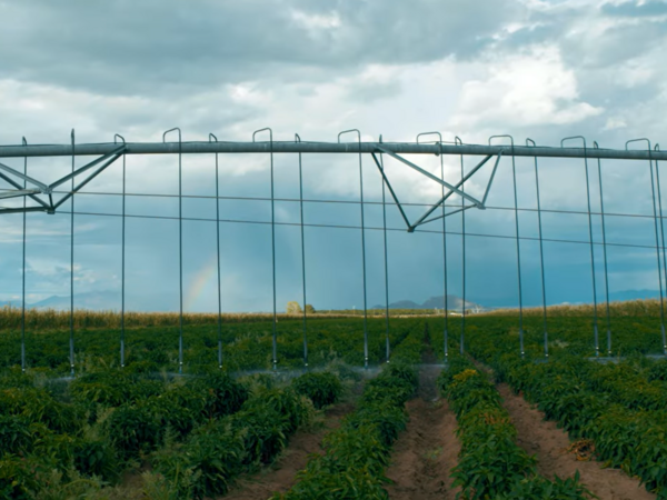 Groundwater Agriculture