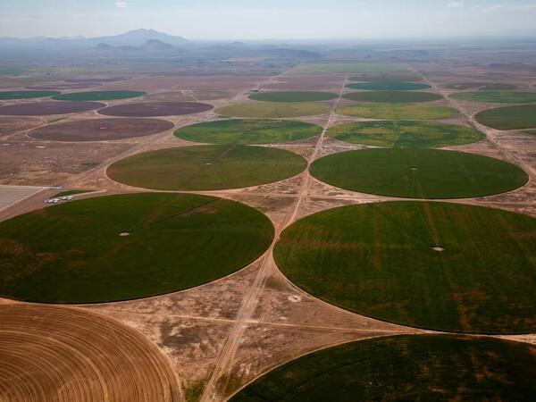 Agricultural fields