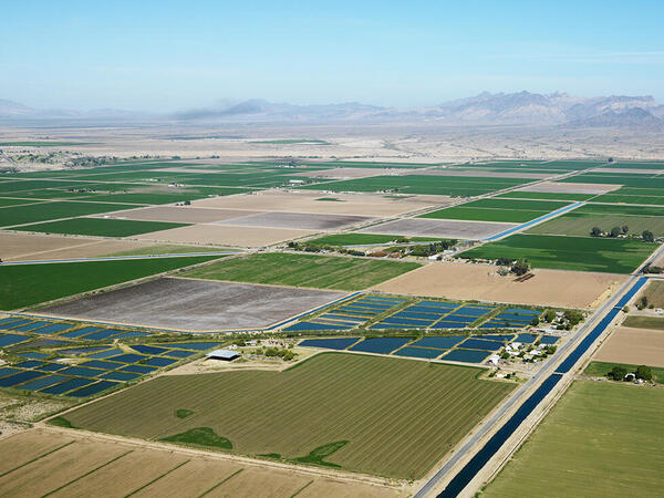 Agricultural fields