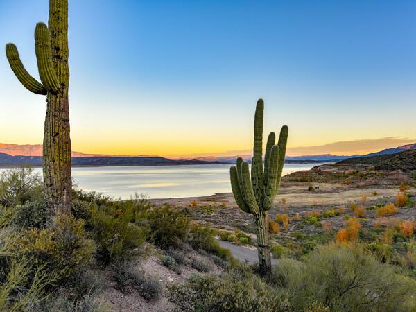 Landscape picture of Tonto National Forest