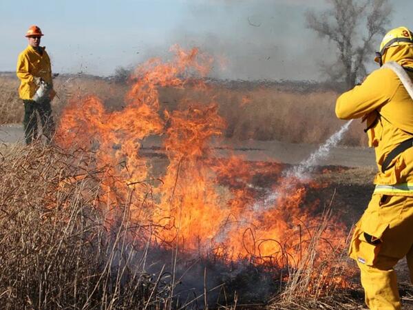 Firefighters fighting a grass fire