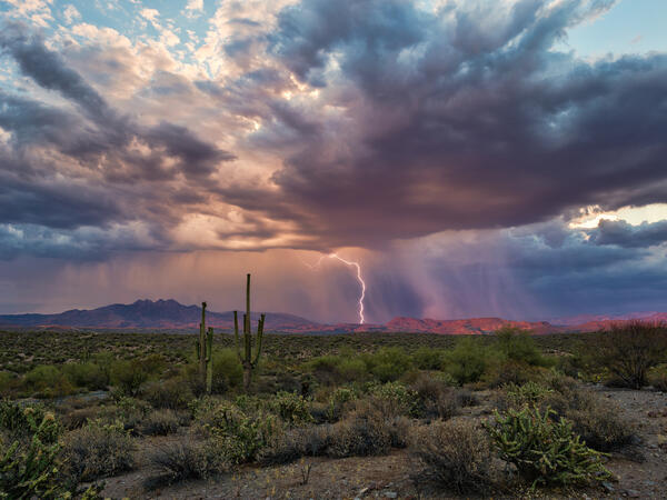 rain in az desert