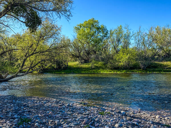 Salt River at Tonto National Forest stock photo