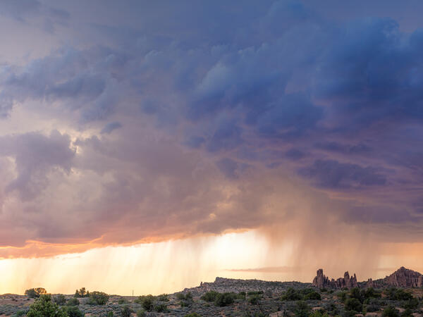 desert rain