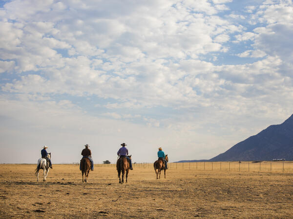 cowboys
