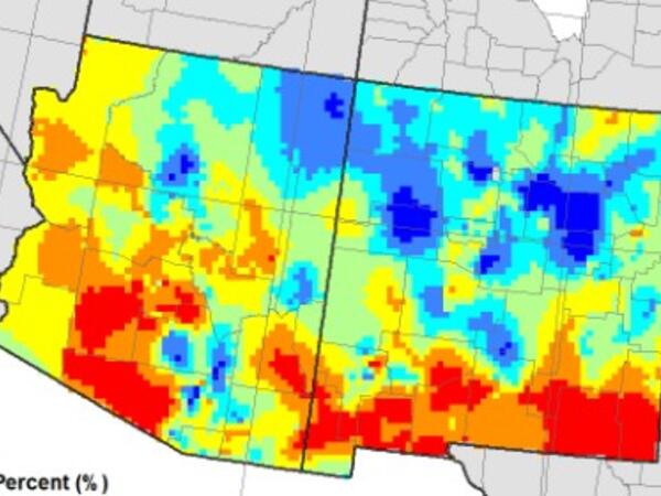 Colorful map of Arizona and New Mexico