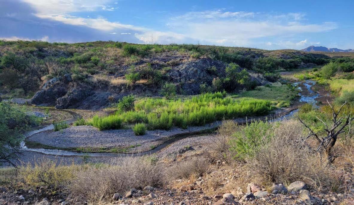 Patagonia AZ