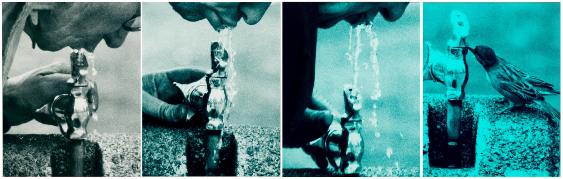 People sequentially drink from a water fountain in a series of three black and white images that turn blue as you move to the right, finally ending on a photo of a bird drinking from a fountain.