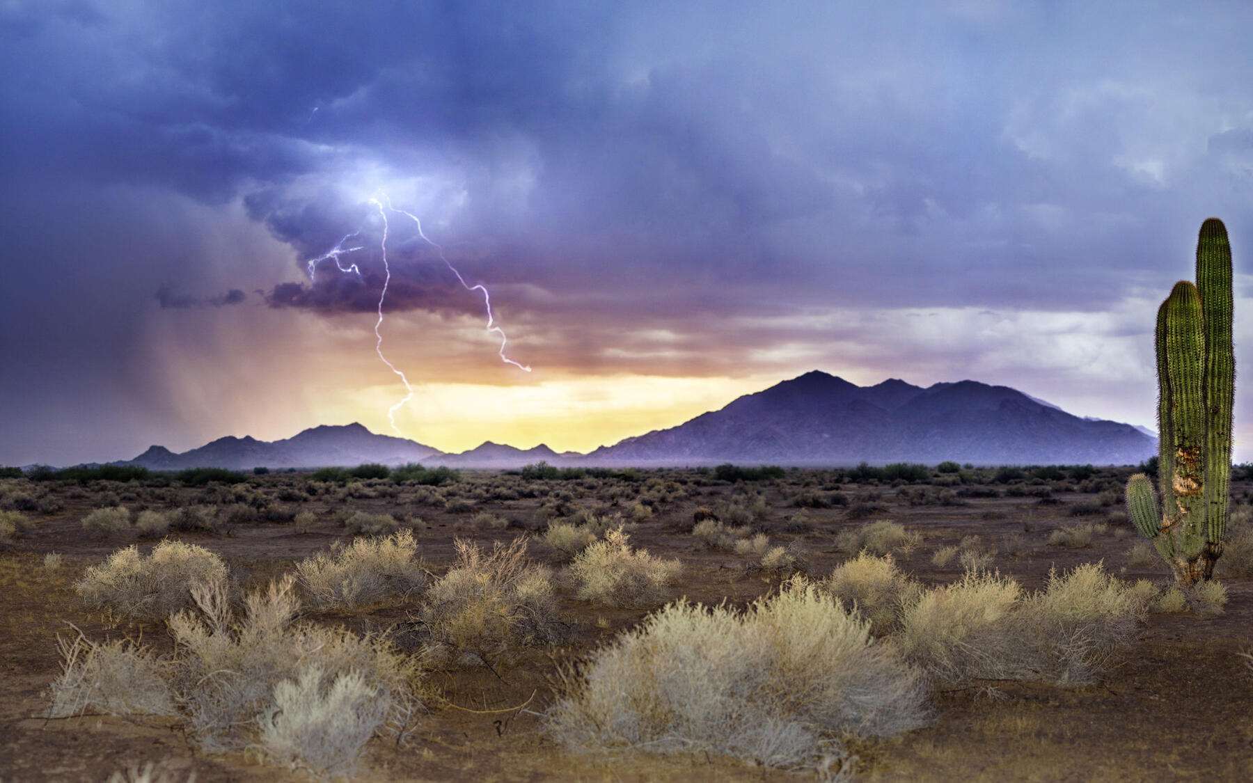 Monsoon rains fall over a desert landscape