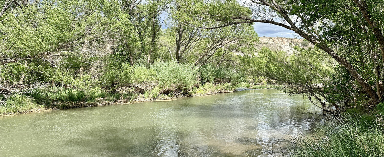 The Verde River near Camp Verde. Photo by Faith Kearns.