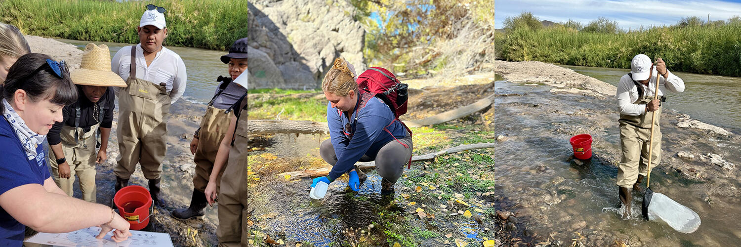 communities working in Arizona streams