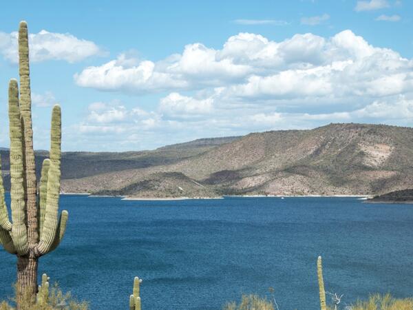 A deep blue lake in a desert landscape with a saguaro cactus