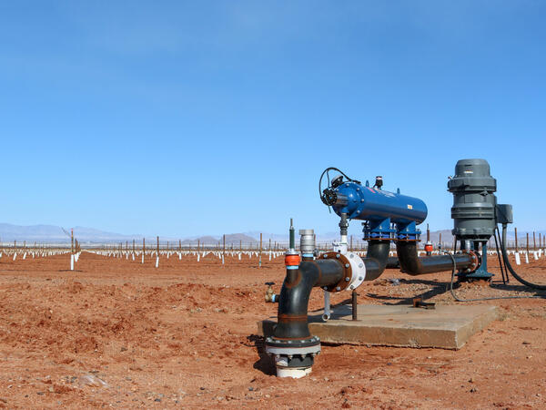 A groundwater well is used to irrigate a Cochise County nut orchard in rural Arizona. on March 1, 2022. Credit: Aydali Campa/Inside Climate News