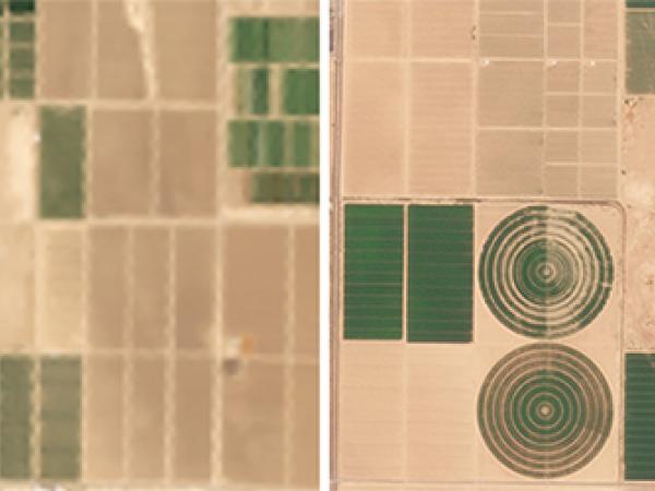 Agricultural fields from above