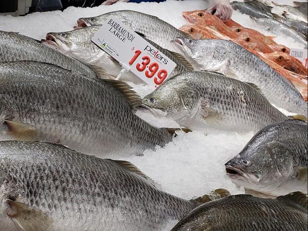 Fish on ice in a supermarket.